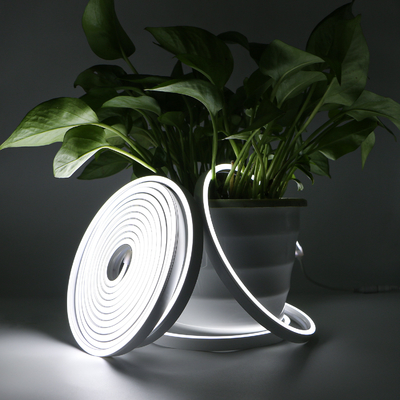 diodo emissor de luz Flex Light de néon de 20×10mm, corda IP67 clara de néon flexível impermeável