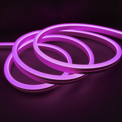 Diodo emissor de luz multicolorido Flex Light Strip de néon IP65 12 volts 24 volts para a decoração