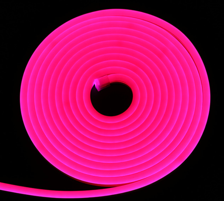 Cor de néon impermeável do RGB da luz de tira do diodo emissor de luz de IP65 SMD que muda 24V 12V