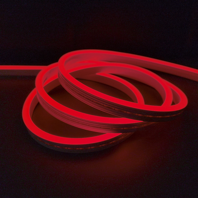 Cor de néon impermeável do RGB da luz de tira do diodo emissor de luz de IP65 SMD que muda 24V 12V